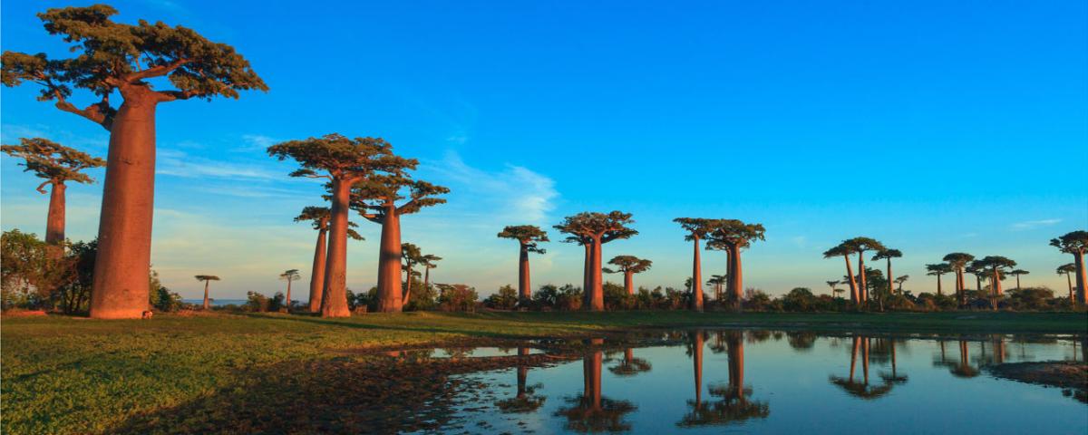 马达加斯加的城市